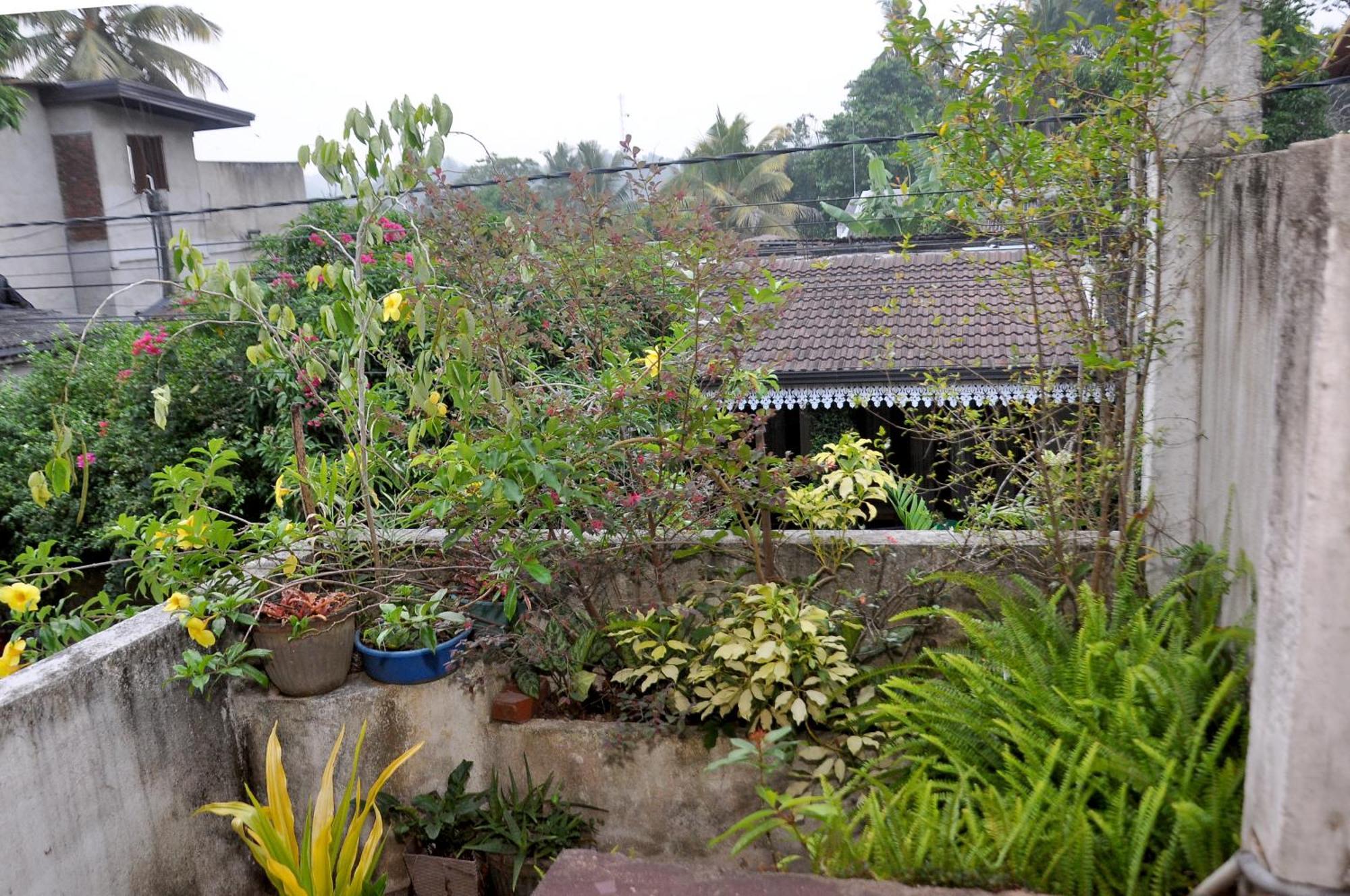 Golden Shower Inn Kandy Eksteriør billede